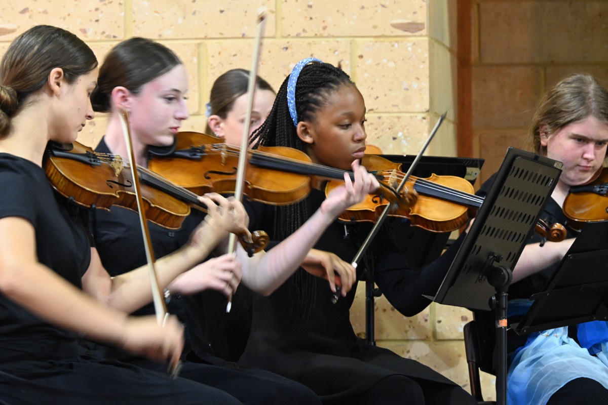 String players in performance at the MNCYO 2025 concert.